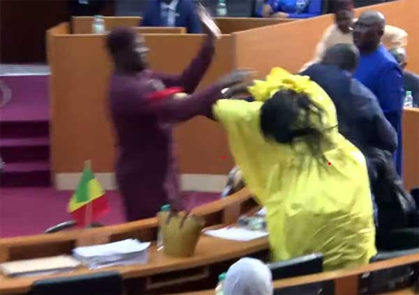 Affaire Amy Ndiaye Gniby : Voilà ce que risque les députés Massata Samb et Mamadou Niang