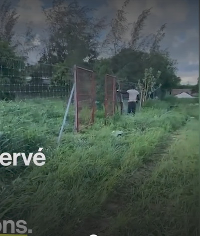 Après sa carrière dans le football, Ferdinand Coly est agriculteur