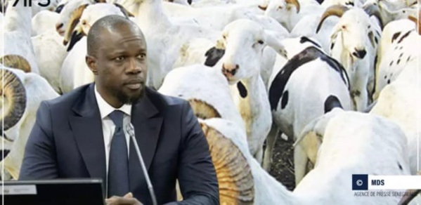 PRIX DU MOUTON DE TABASKI: Ousmane Sonko avertit et s'engage