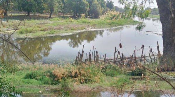 Revitalisation du fleuve Casamance à Kolda : les populations attendent la promesse du ministre de l’Hydraulique et de l’Assainissement