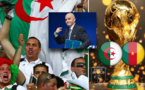 URGENT;Mondial 2022: le dossier Algérie-Cameroun relancé, l'arbitre épinglé