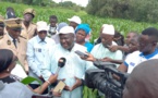 Agriculture :Chaude journée du ministre Mousa Baldé à Tamba